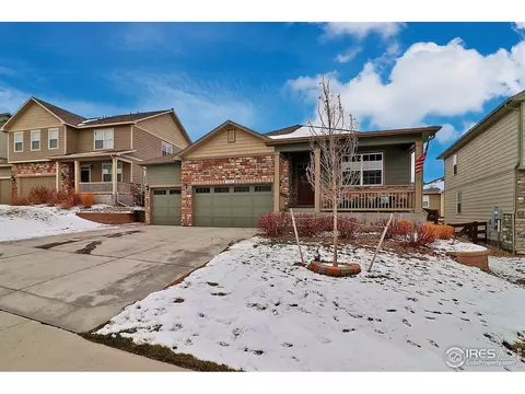 2268 Stonefish Dr, Windsor, CO 80550 photo 1