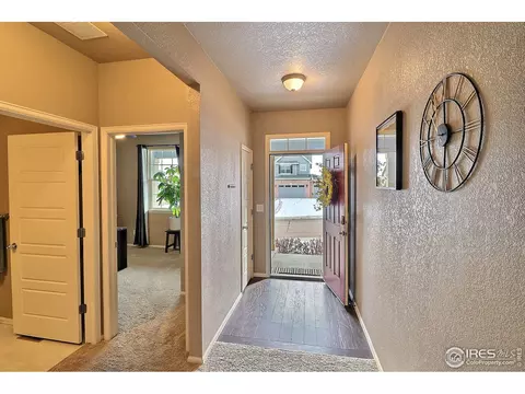 2268 Stonefish Dr, Windsor, CO 80550 photo 23