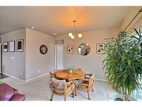 2268 Stonefish Dr, Windsor, CO 80550 photo 8
