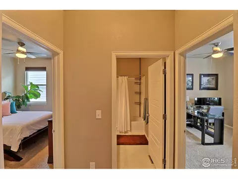 2268 Stonefish Dr, Windsor, CO 80550 photo 25