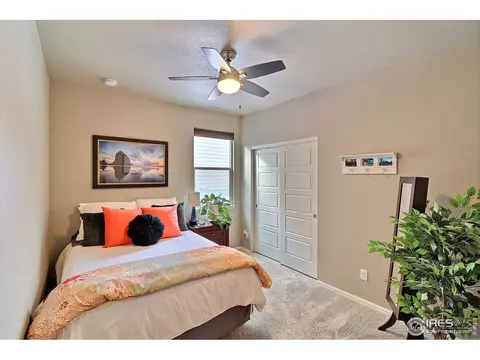 2268 Stonefish Dr, Windsor, CO 80550 photo 29
