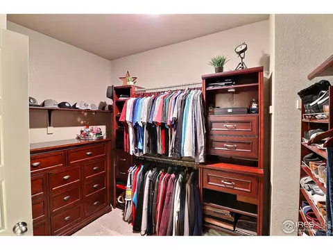 2268 Stonefish Dr, Windsor, CO 80550 photo 22