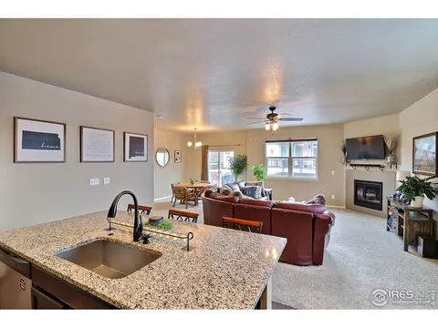 2268 Stonefish Dr, Windsor, CO 80550 photo 13