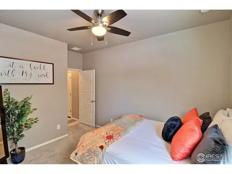 2268 Stonefish Dr, Windsor, CO 80550 photo 30