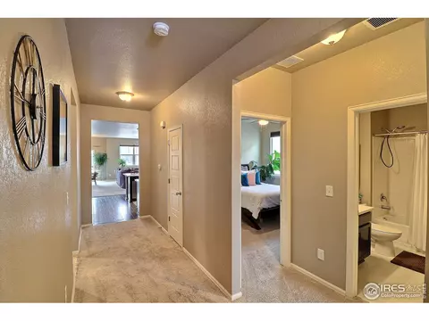 2268 Stonefish Dr, Windsor, CO 80550 photo 24