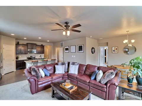 2268 Stonefish Dr, Windsor, CO 80550 photo 3