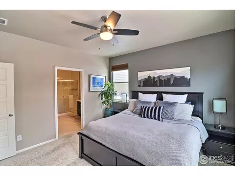 2268 Stonefish Dr, Windsor, CO 80550 photo 20