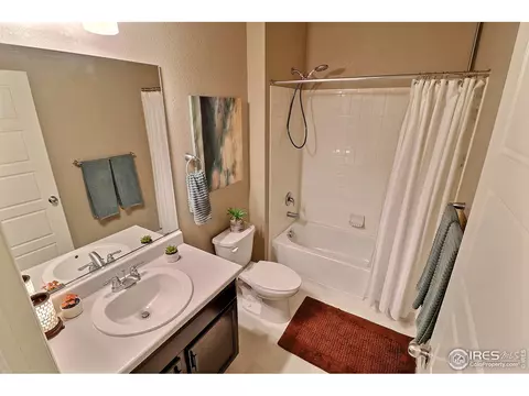 2268 Stonefish Dr, Windsor, CO 80550 photo 28