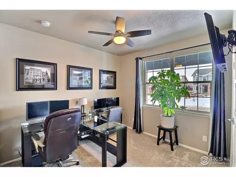 2268 Stonefish Dr, Windsor, CO 80550 photo 27