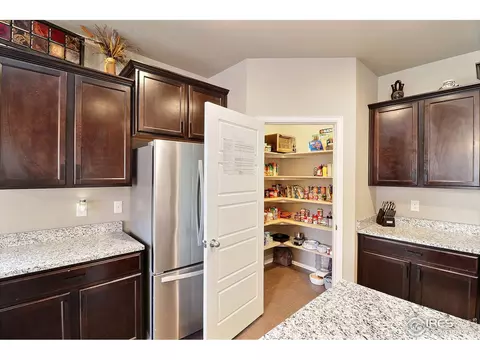 2268 Stonefish Dr, Windsor, CO 80550 photo 17