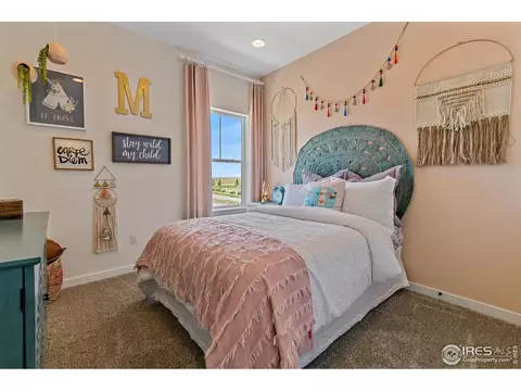 20948 E 60th Pl, Aurora, CO 80019 photo 29