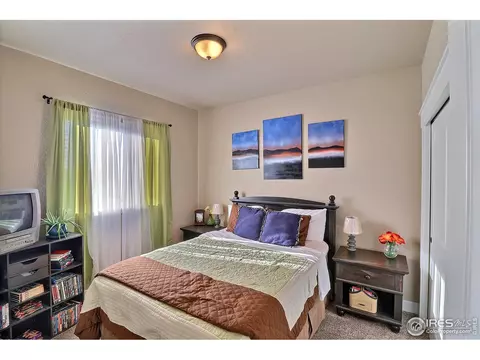 3223 Barbera St, Greeley, CO 80634 photo 28
