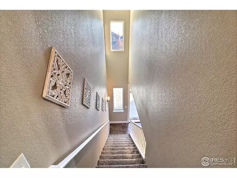 3223 Barbera St, Greeley, CO 80634 photo 20