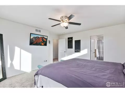 539 El Diente Ave, Windsor, CO 80550 photo 14