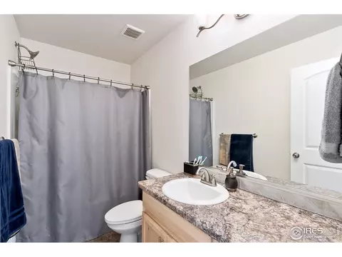 539 El Diente Ave, Windsor, CO 80550 photo 19