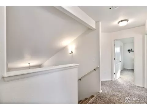 539 El Diente Ave, Windsor, CO 80550 photo 12