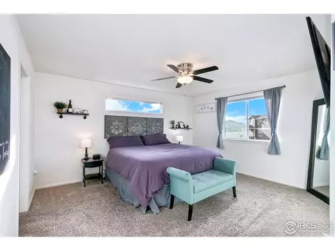 539 El Diente Ave, Windsor, CO 80550 photo 13