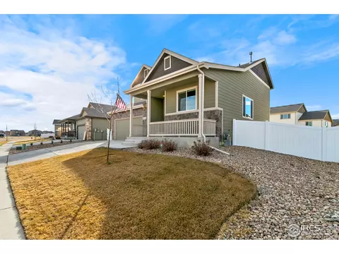 539 El Diente Ave, Windsor, CO 80550 photo 3