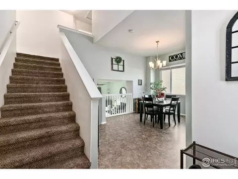 539 El Diente Ave, Windsor, CO 80550 photo 4