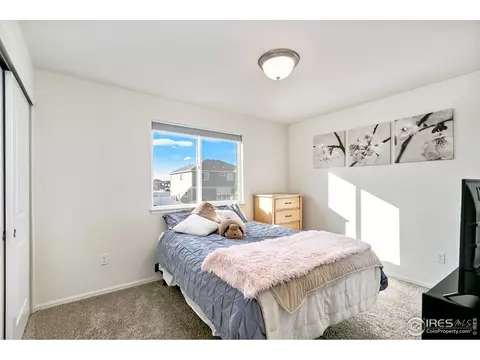 539 El Diente Ave, Windsor, CO 80550 photo 17