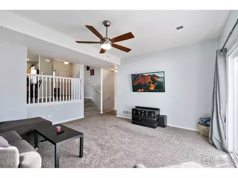 539 El Diente Ave, Windsor, CO 80550 photo 10