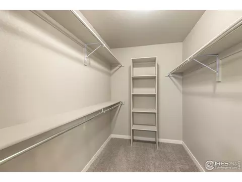5017 Thunderhead Dr, Timnath, CO 80547 photo 16