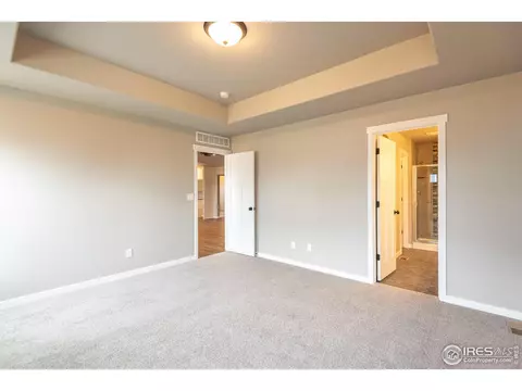 5017 Thunderhead Dr, Timnath, CO 80547 photo 13