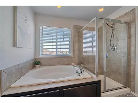 21101 E Whitaker Dr, Centennial, CO 80015 photo 20