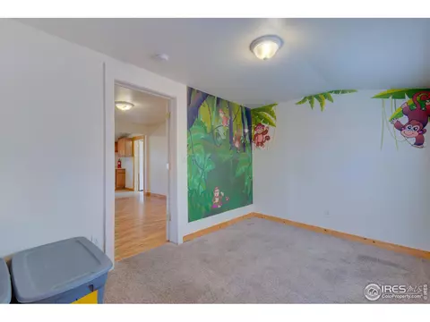 319 Stickney Ave, Lyons, CO 80540 photo 14