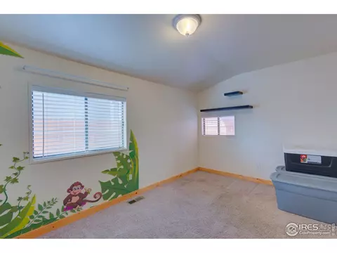 319 Stickney Ave, Lyons, CO 80540 photo 15