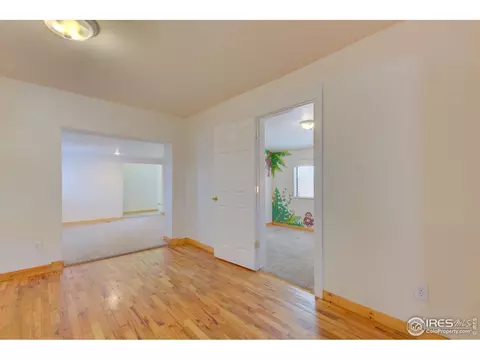 319 Stickney Ave, Lyons, CO 80540 photo 13