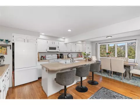 3021 Nova Rd, Pine, CO 80470 photo 8