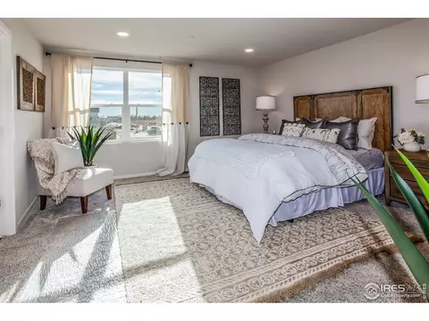 5759 Champlain Dr, Timnath, CO 80547 photo 20
