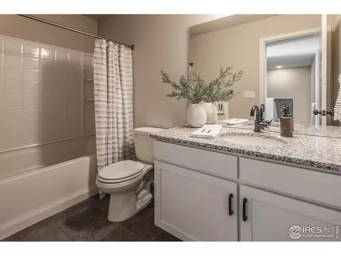 5765 Champlain Dr, Timnath, CO 80547 photo 29