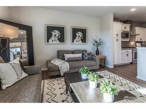 5765 Champlain Dr, Timnath, CO 80547 photo 18