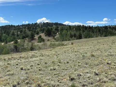 135 Hawk Way, Como, CO 80432 photo 3