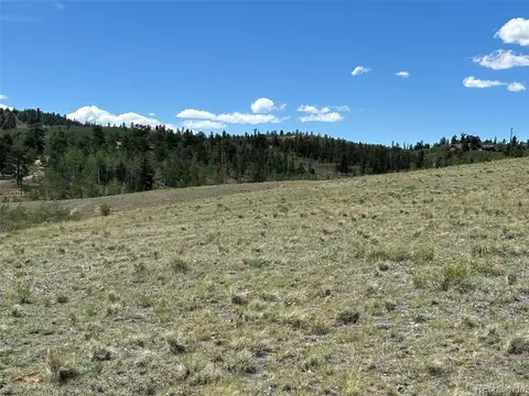 135 Hawk Way, Como, CO 80432 photo 21