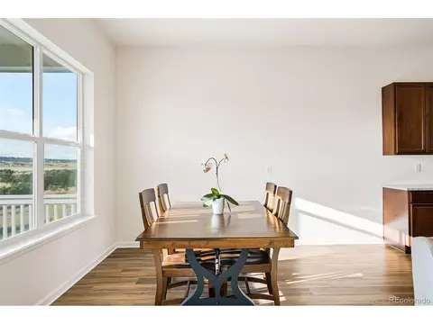443 Simmental Loop, Castle Rock, CO 80104 photo 17