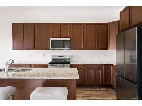 443 Simmental Loop, Castle Rock, CO 80104 photo 3