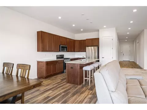 443 Simmental Loop, Castle Rock, CO 80104 photo 13