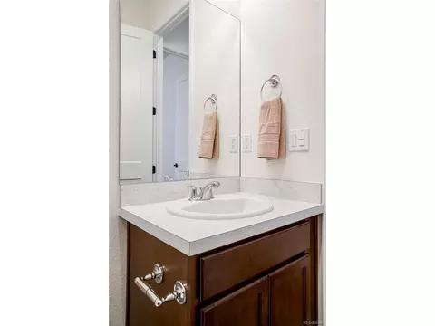 443 Simmental Loop, Castle Rock, CO 80104 photo 29