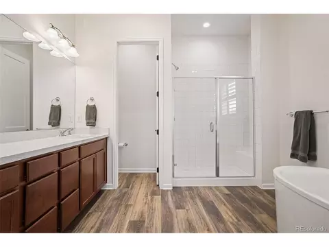 443 Simmental Loop, Castle Rock, CO 80104 photo 10