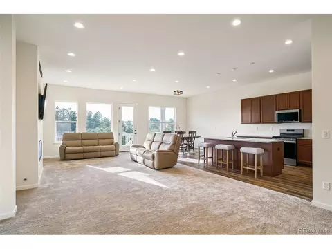 443 Simmental Loop, Castle Rock, CO 80104 photo 15