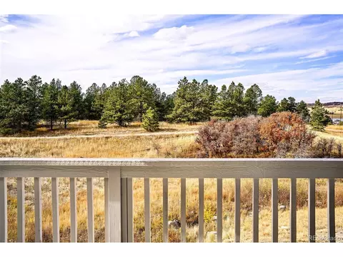 443 Simmental Loop, Castle Rock, CO 80104 photo 34