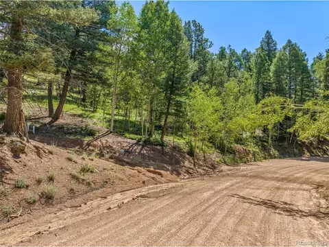 754 Bennett Dr, Cripple Creek, CO 80813