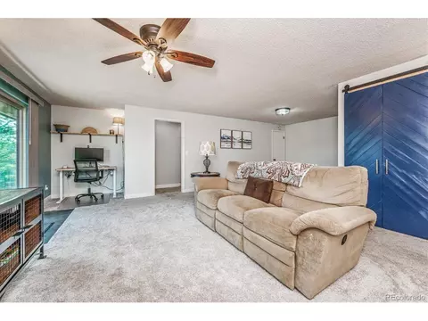 24957 Red Cloud Dr, Conifer, CO 80433 photo 27