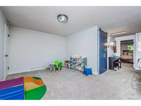 24957 Red Cloud Dr, Conifer, CO 80433 photo 29
