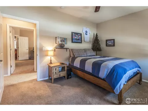 5668 Edgevale St, Timnath, CO 80547 photo 18