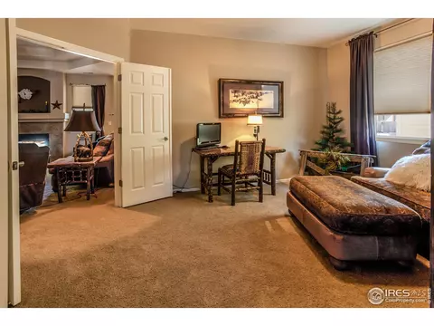 5668 Edgevale St, Timnath, CO 80547 photo 17