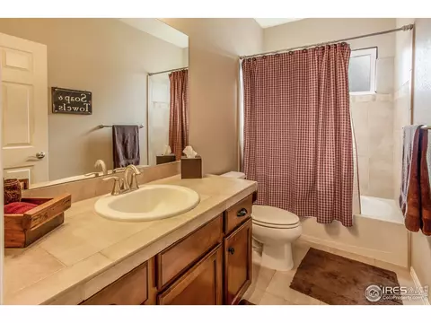 5668 Edgevale St, Timnath, CO 80547 photo 19